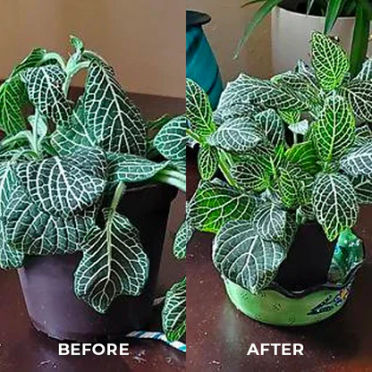 JUXEK™ Universal Organic Fertilizer – Last Chance to Grow Lush Plants Fast!